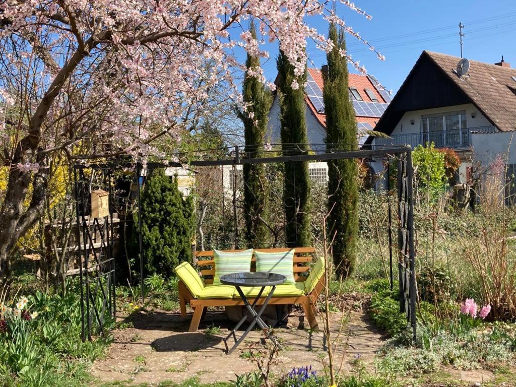 Terrassenwohnung Neustadt an der Weinstraße Exteriér fotografie